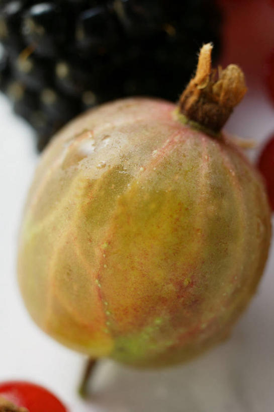 无人,竖图,俯视,室内,特写,白天,白色背景,水,餐桌,桌子,浆果,黑莓,水果,阴影,朦胧,模糊,新鲜,反射,液体,影子,水滴,生食,食品,果实,食物,黑色,摄影,有机食品,绿色食品,影棚,餐台,露莓,穗醋栗,醋栗,彩图,高角度拍摄,影棚拍摄,拍摄