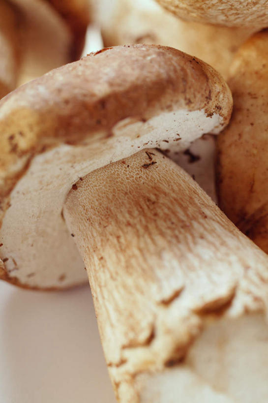 无人,竖图,俯视,室内,特写,白天,白色背景,蔬菜,阴影,新鲜,反射,影子,菌菇,食品,菌类,草菇,食物,食用菌,摄影,有机食品,绿色食品,影棚,麻菇,美味草菇,彩图,高角度拍摄,影棚拍摄,拍摄