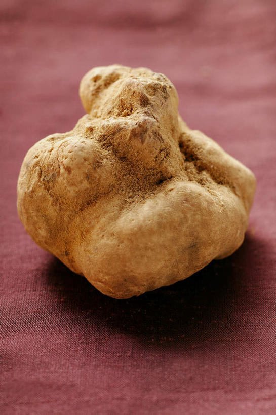 无人,竖图,俯视,室内,特写,白天,桌面,桌子,蔬菜,阴影,朦胧,模糊,新鲜,反射,木制,影子,菌菇,调料,食品,调味品,松露,调味料,菌类,食物,一个,木制品,食用菌,有机食品,绿色食品,单个,白松露,彩图,高角度拍摄