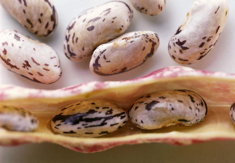 无人,横图,俯视,室内,特写,白天,白色背景,植物,豆,蔬菜,许多,阴影,新鲜,反射,影子,豆类,豆子,刀豆,食品,四季豆,食物,摄影,有机食品,绿色食品,影棚,红芸豆,芸豆,豆科,菜豆,二季豆,白肾豆,架豆,玉豆,去豆,彩图,高角度拍摄,影棚拍摄,拍摄