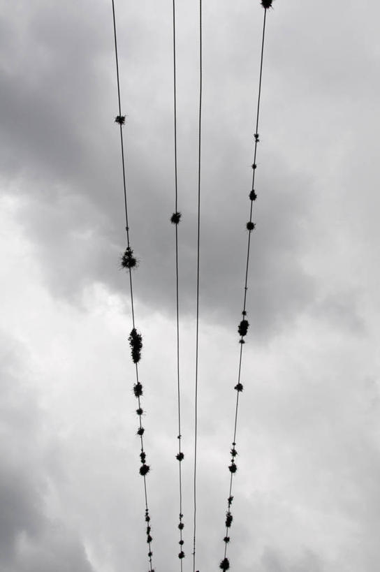 无人,站,竖图,室外,白天,仰视,旅游,度假,美景,鸟,阿根廷,电力,鸟类,电线,电线杆,线,景观,乌云,云,阴天,云朵,电能,线路,云彩,注视,娱乐,天空,自然,天,观察,看,站着,享受,休闲,景色,南美,放松,观看,电,电源,察看,南美洲,昏暗,阴沉,拉丁美洲,关注,自然风光,美洲,能量,亚美利加洲,南亚美利加洲,阿根廷共和国,胡胡伊,胡胡伊省,站立,彩图,低角度拍摄,全身