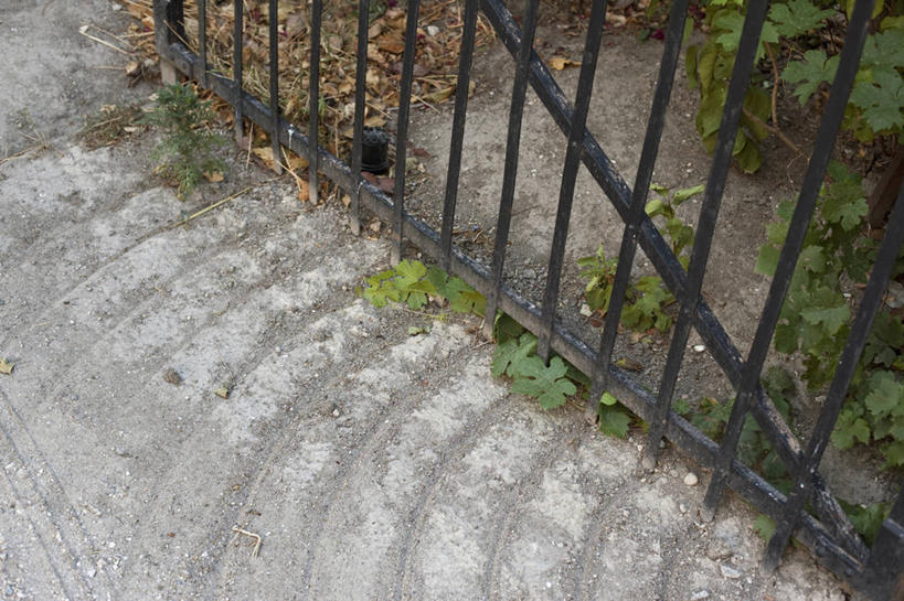 无人,栏杆,横图,俯视,室外,特写,白天,植物,门,叶子,金属制品,金属,纹理,栅栏,篱笆,围栏,绿叶,护栏,绿色,门框,嫩叶,肌理,叶,叶片,叶脉,彩图,高角度拍摄