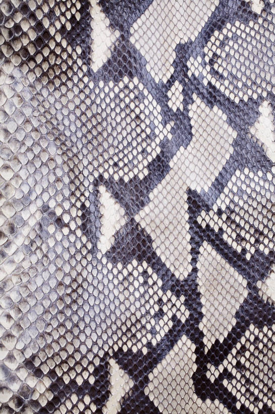 无人,竖图,室内,特写,白天,正面,静物,一块,阴影,反射,纹路,纹理,影子,皮,皮革,皮肤,皮毛,蛇皮,肌理,彩图,蛇皮革,虵皮