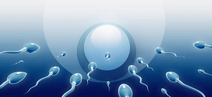 无人,横图,室内,白天,正面,数码,科技,微生物,阴影,蓝色背景,科学,网络,医学,细胞,高光,几何,计算机图形,合成,精子,电脑合成图,数码合成图,生物学,合成图,卵子,卵细胞,写实,具体,具象,生殖细胞,单倍体生殖细胞,雄配子,雄性生殖细胞,雄性细胞,彩图