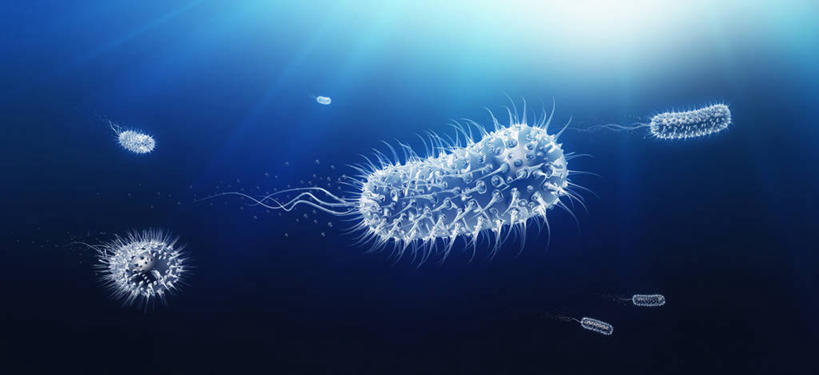 无人,横图,室内,特写,白天,正面,数码,科技,微生物,阴影,漂浮,科学,网络,医学,细胞,高光,几何,计算机图形,合成,蓝色,白色,生物,电脑合成图,数码合成图,医疗,病毒,生物学,合成图,写实,具体,具象,寄生,生命体,生物病毒,彩图