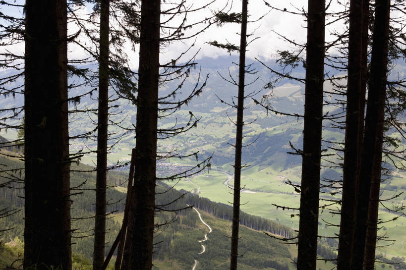 无人,横图,室外,白天,正面,旅游,度假,美景,森林,山,山脉,树林,植物,奥地利,欧洲,阴影,光线,影子,景观,山峰,山峦,娱乐,树,树木,蓝色,绿色,蓝天,天空,阳光,自然,群山,天,享受,休闲,景色,放松,生长,晴朗,成长,自然风光,中欧,万里无云,奥地利共和国,策尔湖,晴空,晴空万里,彩图