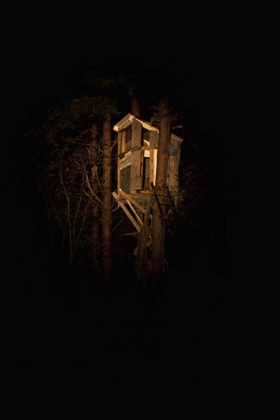 无人,家,木屋,竖图,室外,夜晚,正面,旅游,度假,美景,德国,欧洲,阴影,朦胧,模糊,光线,影子,景观,灯光,娱乐,住宅,自然,享受,休闲,景色,放松,西欧,自然风光,德意志联邦共和国,彩图,茅舍,茅屋,棚屋,小木屋,小屋,树屋