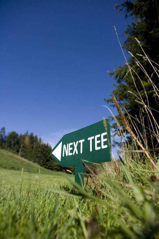 无人,竖图,室外,白天,仰视,旅游,度假,草地,草坪,美景,植物,阴影,光线,影子,景观,球场,娱乐,高尔夫球场,箭头,草,树,树木,蓝色,绿色,蓝天,天空,阳光,自然,天,享受,休闲,武器,景色,放松,战争,生长,晴朗,成长,自然风光,兵器,绿茵场,万里无云,远程,冷兵器,簇,矢,晴空,晴空万里,彩图,低角度拍摄