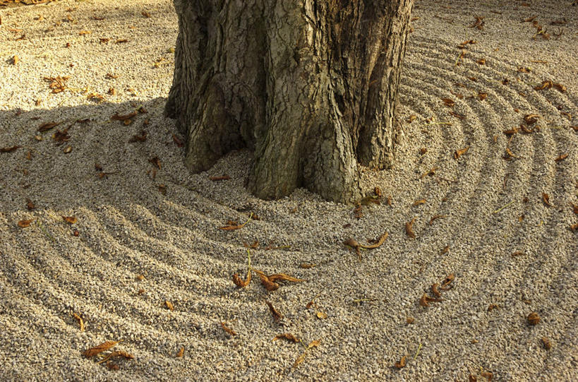 无人,横图,俯视,室外,特写,白天,建材,石头,美景,建筑,叶子,阴影,环绕,围绕,光线,圆形,材料,沙子,石子,图形,影子,圆,景观,沙,枯叶,落叶,树桩,几何,环抱,树,树干,阳光,自然,鹅卵石,木桩,景色,建造,砂,矿产,数学,自然风光,按摩石,萦绕,叶,叶片,石块,彩图,高角度拍摄,几何图形,平面图形