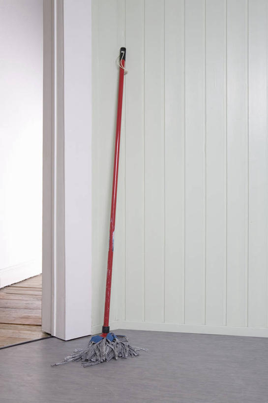 无人,竖图,室内,白天,正面,地板,门,静物,阴影,反射,工具,影子,墙,地面,木地板,拖把,墙壁,墙面,一个,门框,打开,清洁,单个,卫生,开启,保洁,彩图