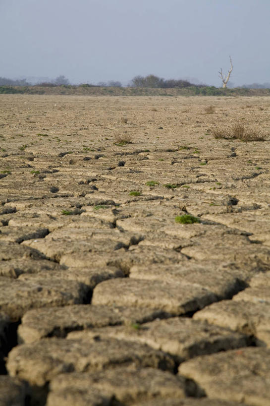 无人,竖图,室外,白天,正面,旅游,度假,石头,美景,沙漠,阴影,破碎,干燥,光线,石子,影子,景观,泥土,土壤,娱乐,蓝色,蓝天,天空,阳光,自然,天,享受,休闲,景色,放松,晴朗,碎裂,破裂,枯燥,贫瘠,自然风光,分裂,万里无云,瘠薄,大漠,砂漠,石块,晴空,晴空万里,彩图,决裂
