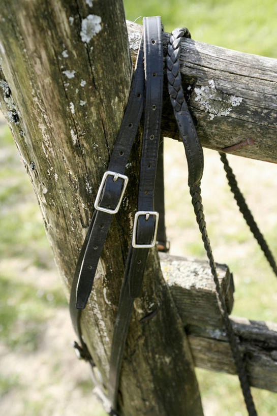 无人,栏杆,竖图,俯视,室外,特写,白天,草地,草坪,美景,植物,栅栏,景观,篱笆,围栏,护栏,草,绿色,自然,绳子,景色,绳索,自然风光,马具,彩图,高角度拍摄,鞍辔,马笼头,辔头