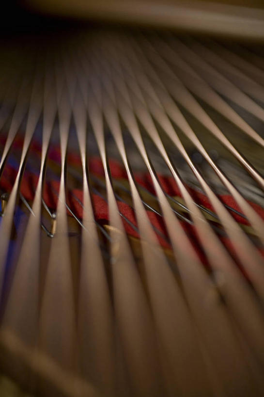 无人,竖图,俯视,室内,特写,白天,键盘,静物,一排,阴影,朦胧,模糊,整齐,反射,影子,钢琴,乐器,三角钢琴,排列,一台,键盘乐器,队列,彩图,高角度拍摄