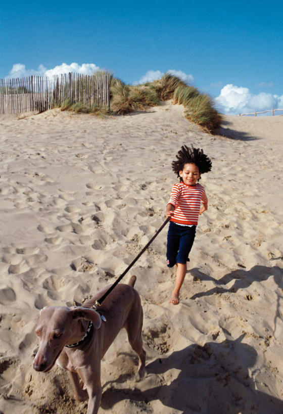 西方人,儿童,腿部,脚,脚趾,脚趾甲,腿,一个人,栏杆,跑,笑,微笑,露齿笑,竖图,室外,白天,正面,纯洁,沙漠,植物,仙人掌,宠物,狗,欧洲,非洲,黑人,欧洲人,仅一个女性,仅一个人,握,阴影,服装,裤子,光线,火焰,影子,栅栏,篱笆,云,云朵,围栏,草药,猎犬,拿,云彩,拿着,注视,牛仔裤,休闲装,光脚,护栏,中药,小孩,衣服,蓝色,白云,蓝天,天空,动物,天,观察,看,仅一个小孩,休闲,赤脚,休闲服,可爱,童年,童趣,握着,服饰,晴朗,观看,链条,察看,关注,药材,中草药,童真,狗链,烂漫,无邪,德国猎犬,忠诚,中药材,本草,牛舌头,天真,女孩,女人,女性,非洲人,孩子,脚指甲,大漠,砂漠,晴空,玉芙蓉,仙巴掌,火掌,霸王树,犬,彩图,全身,女生