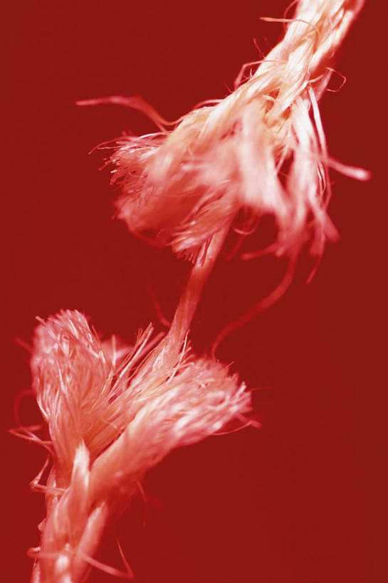 无人,竖图,室内,特写,白天,正面,阴影,红色背景,光线,影子,破坏,破损,绳子,摄影,影棚,绳索,损坏,彩图,影棚拍摄,拍摄