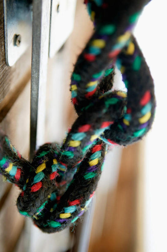 农场,竖图,俯视,室外,特写,白天,畜牧业,牧场,静物,阴影,朦胧,模糊,光线,影子,墙,马厩,马场,墙壁,墙面,绳子,绳索,畜牧,牧业,半身,彩图,高角度拍摄