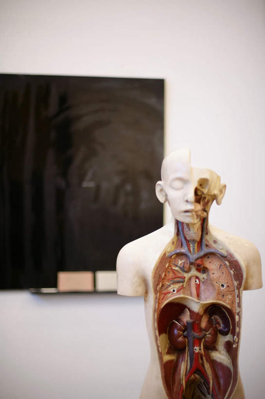 无人,学校,竖图,室内,白天,白色背景,正面,阴影,光线,影子,墙,校园,墙壁,墙面,白色,模型,黑板,教室,教学,耐磨,教学黑板,半身,彩图,人体模型