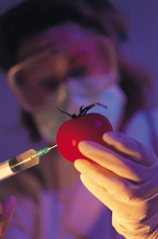 西方人,脸,头,脸颊,手,一个人,坐,竖图,室内,特写,白天,正面,工作服,制服,安全,西红柿,水果,欧洲,欧洲人,双手,仅一个年轻女性,仅一个女性,仅一个人,握,阴影,紫色背景,朦胧,模糊,新鲜,分离,光线,眼镜,影子,生食,食品,果实,防护,过滤,拿,分开,拿着,注视,肩膀,食物,一个,口罩,手套,观察,看,手部,隔断,橡胶,针管,针筒,握着,遮掩,注射,摄影,有机食品,绿色食品,影棚,单个,观看,护目镜,保护,隔离,察看,医疗,医疗设备,卫生,注射器,掩盖,遮挡,关注,净化,间隔,保险,橡胶手套,预防,橡胶制品,遮盖,防尘,医用手套,保全,周全,安稳,安定,掩饰,断绝,隔开,屏蔽,屏绝,远离,中断,阻遏,阻隔,安全防护眼镜,工作制服,平安,年轻女性,女人,女性,白种人,头部,脸部,脸蛋,面部,樱桃番茄,圣女果,番茄,坐着,半身,彩图,影棚拍摄,工作套服,拍摄,防护眼镜