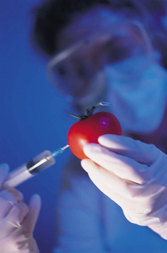 西方人,脸,头,脸颊,手,一个人,坐,竖图,室内,特写,白天,正面,工作服,制服,安全,西红柿,水果,欧洲,欧洲人,双手,仅一个年轻女性,仅一个女性,仅一个人,握,阴影,紫色背景,朦胧,模糊,新鲜,分离,光线,眼镜,影子,生食,食品,果实,防护,过滤,拿,分开,拿着,注视,肩膀,食物,一个,口罩,手套,观察,看,手部,隔断,橡胶,针管,针筒,握着,遮掩,注射,摄影,有机食品,绿色食品,影棚,单个,观看,护目镜,保护,隔离,察看,医疗,医疗设备,卫生,注射器,掩盖,遮挡,关注,净化,间隔,保险,橡胶手套,预防,橡胶制品,遮盖,防尘,医用手套,保全,周全,安稳,安定,掩饰,断绝,隔开,屏蔽,屏绝,远离,中断,阻遏,阻隔,安全防护眼镜,工作制服,平安,年轻女性,女人,女性,白种人,头部,脸部,脸蛋,面部,樱桃番茄,圣女果,番茄,坐着,半身,彩图,影棚拍摄,工作套服,拍摄,防护眼镜