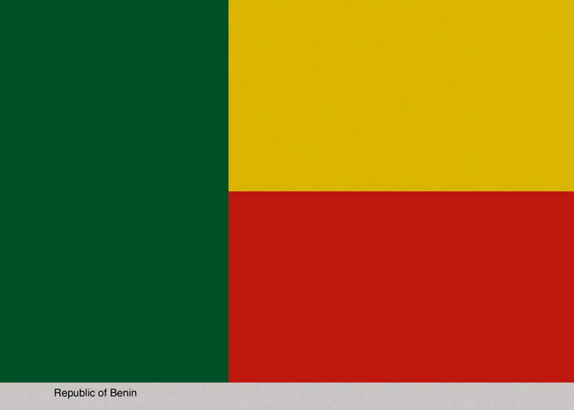 无人,横图,插画,室内,白天,正面,数码,科技,旗帜,国旗,非洲,贝宁,一面,阴影,灰色背景,光线,网络,格子,影子,高光,几何,计算机图形,合成,图画,画,一个,黄色,红色,绿色,单个,电脑合成图,数码合成图,漫画,写实,具体,具象,阿非利加洲,贝宁共和国,旗,彩图