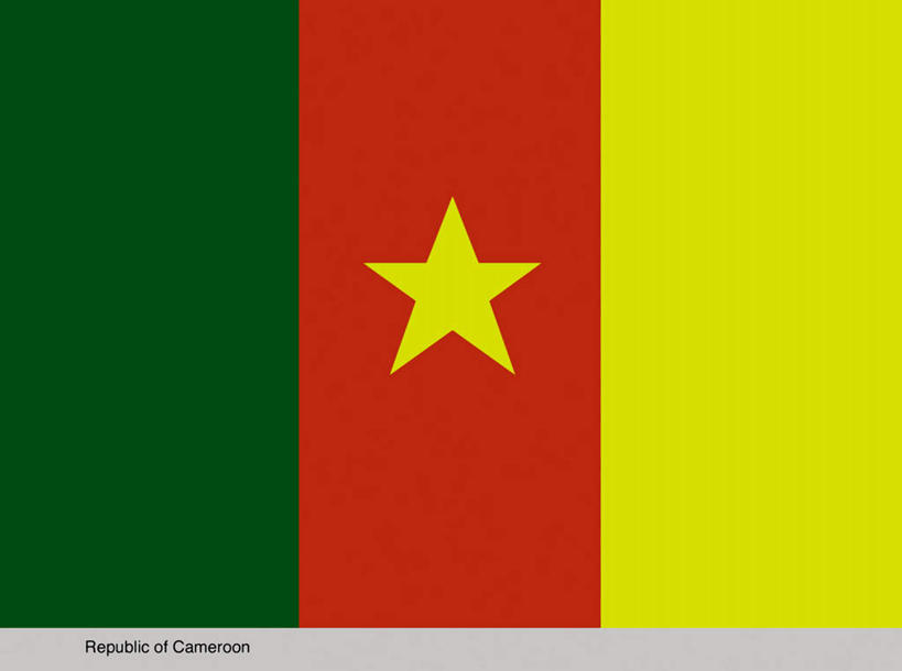 无人,横图,插画,室内,白天,正面,数码,科技,旗帜,国旗,非洲,喀麦隆,一面,阴影,条纹,光线,网络,影子,星星,高光,几何,计算机图形,合成,图画,画,一个,黄色,红色,绿色,星形,单个,电脑合成图,数码合成图,漫画,五角形,写实,具体,具象,阿非利加洲,喀麦隆共和国,旗,五角星,彩图