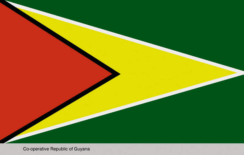 无人,横图,插画,室内,白天,正面,数码,科技,旗帜,国旗,圭亚那,一面,阴影,光线,网络,三角形,影子,高光,几何,计算机图形,合成,图画,画,两个,一个,黄色,红色,绿色,白色,黑色,南美,单个,电脑合成图,数码合成图,南美洲,拉丁美洲,美洲,漫画,写实,具体,具象,亚美利加洲,南亚美利加洲,圭亚那合作共和国,旗,彩图