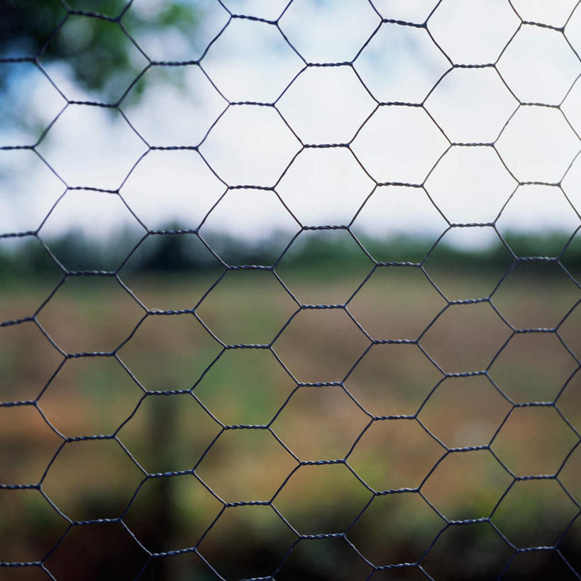 无人,栏杆,方图,室外,特写,白天,正面,旅游,度假,美景,植物,金属制品,阴影,枯萎,朦胧,模糊,光线,金属,六角形,影子,栅栏,景观,篱笆,围栏,枯草,娱乐,护栏,草,树,树木,黄色,绿色,天空,阳光,自然,天,享受,休闲,景色,放松,生长,晴朗,成长,自然风光,万里无云,晴空,晴空万里,彩图