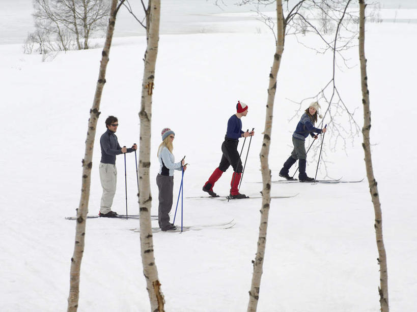 西方人,四个人,伙伴,朋友,走,横图,俯视,室外,白天,友谊,树林,雪,植物,大雪,帽子,欧洲,欧洲人,握,服装,装饰,工具,器材,积雪,雪景,冬季,冬天,注视,休闲装,运动器械,树,树木,衣服,绿色,自然,手套,观察,看,休闲,温暖,休闲服,器械,健身器械,寒冷,握着,服饰,生长,成长,拐杖,观看,保暖,华丽,滑雪板,滑雪杖,点缀,察看,御寒,关注,健身器材,滑雪装备,衬托,美观,雅致,雅观,棉帽,严寒,辅助设备,友情,男人,男性,年轻男性,年轻女性,女人,女性,白种人,步行,走路,彩图,高角度拍摄,全身,运动器材