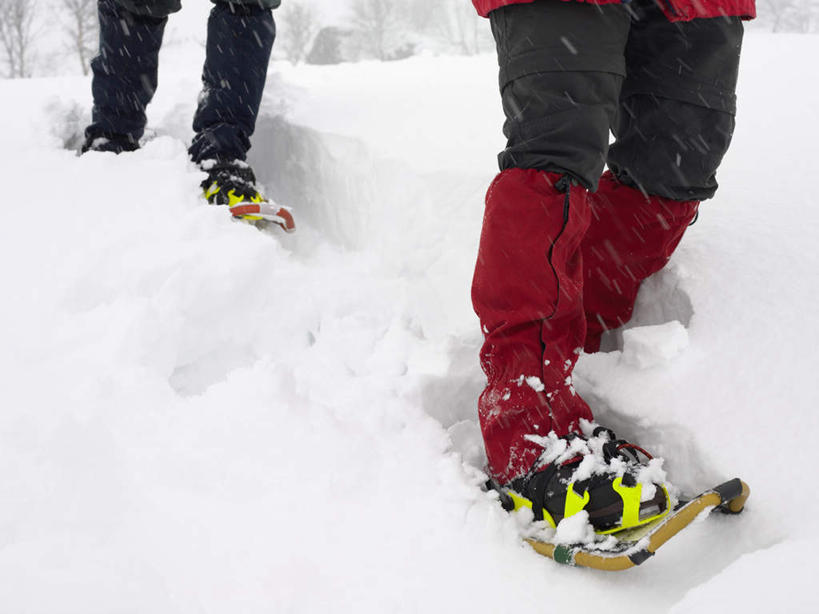 西方人,两个人,伙伴,朋友,走,横图,俯视,室外,特写,白天,友谊,安全,树林,雪,植物,大雪,鞋子,欧洲,欧洲人,服装,积雪,雪景,冬季,冬天,防护,两双,休闲装,树,树木,衣服,绿色,自然,休闲,休闲服,寒冷,服饰,生长,成长,保护,保险,雪鞋,保全,周全,安稳,安定,严寒,平安,友情,男人,男性,女人,女性,中年男性,中年女性,白种人,步行,走路,半身,彩图,高角度拍摄