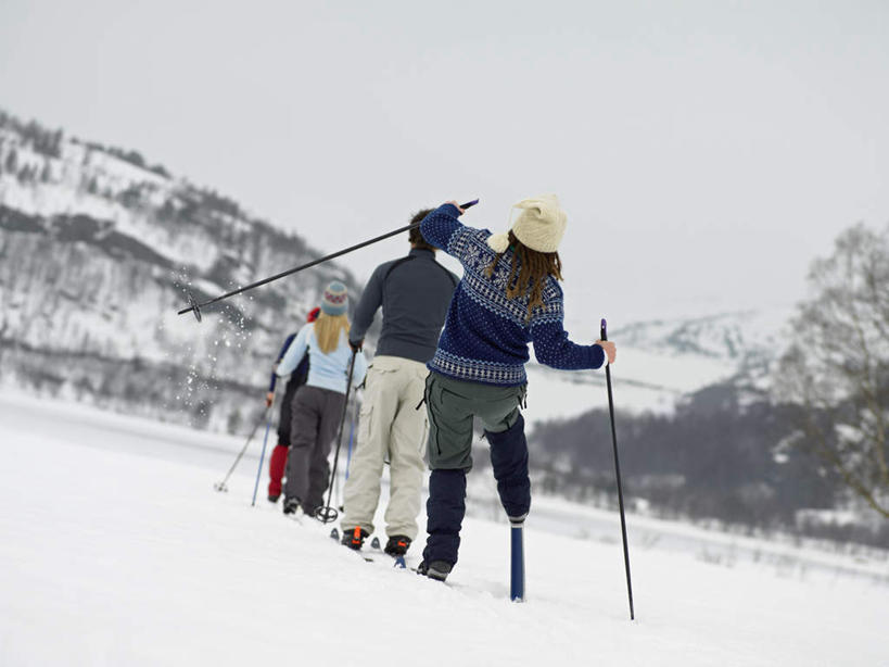 西方人,四个人,伙伴,朋友,站,横图,室外,白天,旅游,度假,友谊,美景,山,雪,雪山,植物,大雪,欧洲,欧洲人,握,服装,工具,器材,冰,积雪,景观,山峰,雪景,冬季,冬天,山峦,拿,拿着,休闲装,娱乐,运动器械,树,树木,背面,衣服,绿色,自然,站着,享受,休闲,休闲服,器械,健身器械,景色,放松,寒冷,握着,服饰,生长,成长,拐杖,滑雪杖,冰冷,自然风光,健身器材,滑雪装备,严寒,辅助设备,冰凉,酷寒,凛冽,凛凛,极冷,友情,男人,男性,年轻男性,年轻女性,女人,女性,白种人,站立,彩图,全身,运动器材