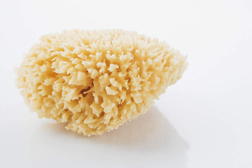 无人,横图,俯视,室内,特写,白天,白色背景,化妆,美容,护肤,阴影,粗糙,光线,海绵,影子,一个,清洁,保养,享受,休闲,放松,保健,摄影,影棚,单个,毛糙,养颜,洗脸海绵,洗脸扑,洗脸绵,彩图,高角度拍摄,影棚拍摄,拍摄,粗拙