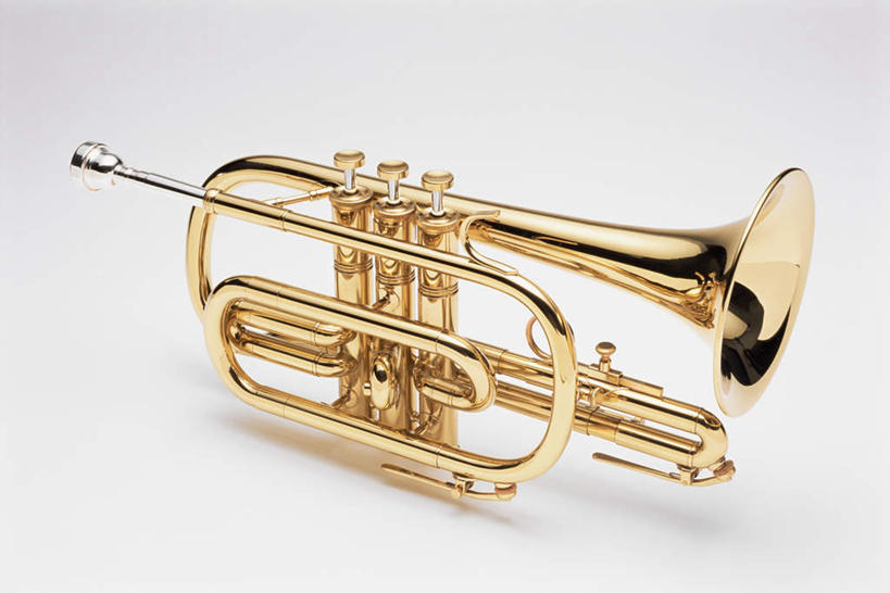 无人,横图,室内,特写,白天,白色背景,正面,静物,阴影,反射,影子,乐器,铜管乐器,圆号,一个,金色,摄影,影棚,单个,法国号,铜管,彩图,影棚拍摄,拍摄