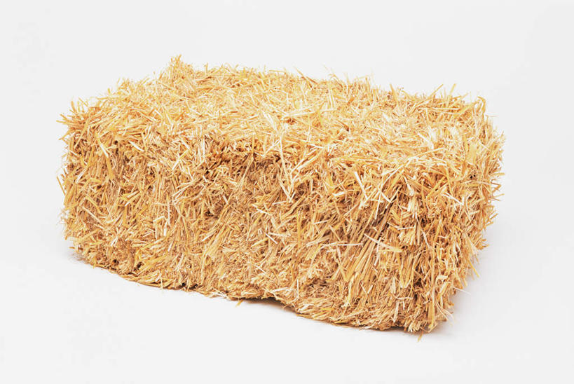无人,横图,室内,特写,白天,白色背景,正面,静物,一块,干草,黄色,草垛,摄影,影棚,干草垛,彩图,影棚拍摄,拍摄
