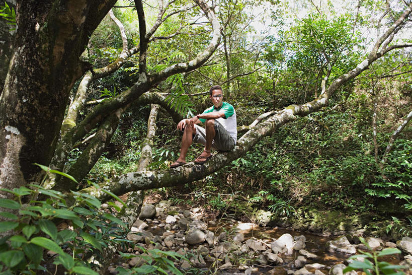 西方人,一个人,坐,横图,室外,白天,正面,旅游,度假,草地,草坪,岛屿,美景,植物,叶子,夏威夷,欧洲,美国,欧洲人,仅一个男性,仅一个人,服装,景观,枯叶,落叶,枝条,注视,休闲装,娱乐,草,树,树木,树枝,仅一个年轻男性,衣服,绿色,自然,观察,看,享受,休闲,休闲服,景色,放松,服饰,生长,成长,观看,察看,北美,北美洲,关注,自然风光,美洲,夏威夷州,爱洛哈之州,北亚美利加洲,亚美利加洲,虬枝,枝杈,男人,男性,年轻男性,白种人,叶,叶片,列岛,群岛,诸岛,坐着,彩图,全身,毛伊岛,茂伊岛,茂宜岛,山谷之岛