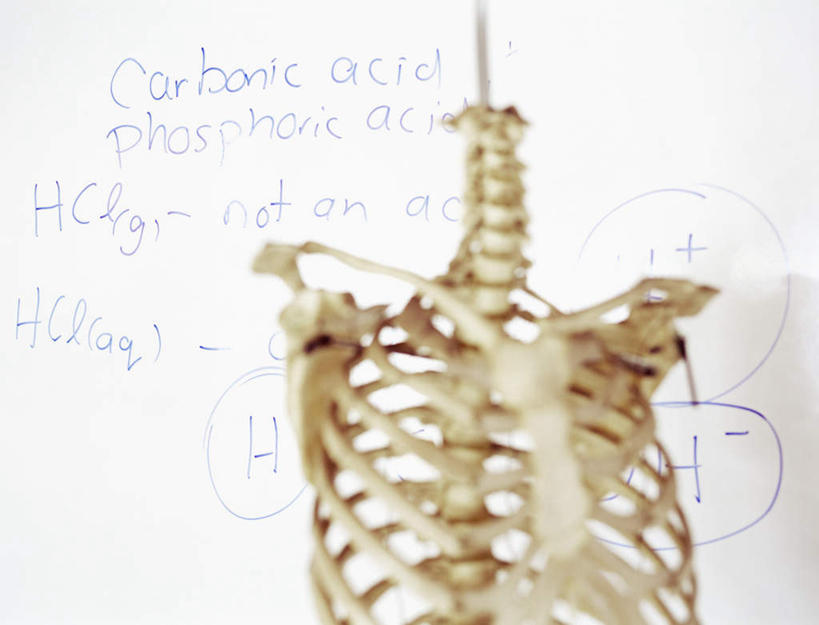 骨骼,无人,横图,室内,特写,白天,正面,一排,许多,朦胧,模糊,整齐,英文,标志,文字,字符,字母,骨头,标识,排列,白板,英文字母,骨架,队列,记录板,记事板,彩图