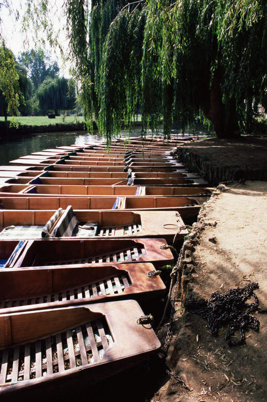 无人,码头,竖图,室外,白天,正面,度假,河流,美景,水,城市风光,城市,港口,船,柳树,英国,欧洲,一排,许多,整齐,河水,景观,水流,木船,娱乐,垂柳,排列,交通工具,享受,休闲,景色,放松,舟,西欧,队列,载具,大不列颠,牛津,世界文化遗产,大不列颠及北爱尔兰联合王国,大不列颠联合王国,日不落英帝国,倒挂柳,牛津市,垂枝柳,彩图,摆渡口,埠头,渡口,渡头,港湾,海港,货运码头,口岸,商港