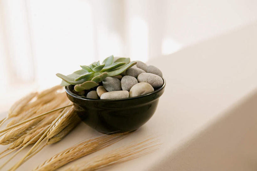 无人,横图,俯视,室内,特写,白天,农作物,小麦,石头,静物,一堆,许多,堆叠,堆积,盛开,石子,陶瓷,谷物,陶瓷制品,很多,花蕾,花,花瓣,花朵,鲜花,一个,容器,碗,花苞,花蕊,鹅卵石,麦子,单个,储藏,堆,储存,按摩石,石块,彩图,高角度拍摄,贮存