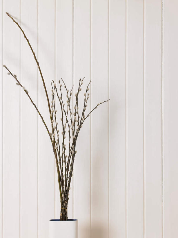 无人,竖图,室内,特写,白天,正面,植物,花瓶,阴影,装饰,反射,影子,陶瓷,墙,枝条,陶瓷制品,墙壁,墙面,树,树木,树枝,假花,瓶子,华丽,修饰,点缀,衬托,美观,雅致,雅观,虬枝,枝杈,彩图,仿真花,人造花