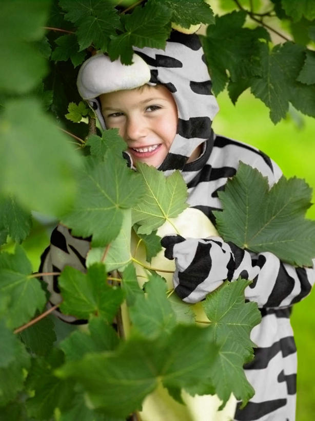 西方人,儿童,一个人,站,笑,微笑,露齿笑,竖图,室外,白天,正面,纯洁,叶子,欧洲,欧洲人,仅一个男性,仅一个人,躲藏,服装,朦胧,模糊,绿叶,注视,小孩,衣服,观察,看,站着,仅一个小孩,嫩叶,可爱,童年,童趣,服饰,观看,察看,隐藏,衣着,穿着,关注,表演服,演出服,童真,烂漫,无邪,潜藏,衣饰,道具服,天真,男孩,男人,男性,白种人,孩子,叶,叶片,站立,半身,彩图,男生