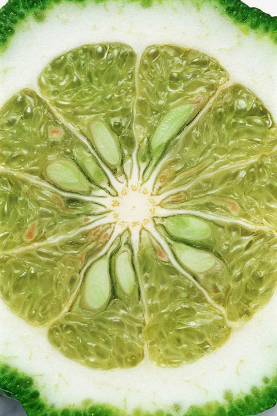 无人,竖图,室内,特写,白天,正面,水果,新鲜,生食,食品,果实,食物,一个,绿色,有机食品,绿色食品,单个,酸橙,代代,橙子,橙,彩图