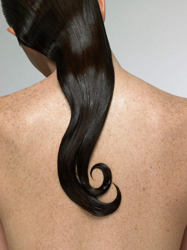 西方人,一个人,竖图,室内,特写,白天,白色背景,欧洲,欧洲人,仅一个年轻女性,仅一个女性,仅一个人,棕色,肩膀,背面,摄影,影棚,后背,年轻女性,女人,女性,白种人,长发,半身,彩图,影棚拍摄,拍摄