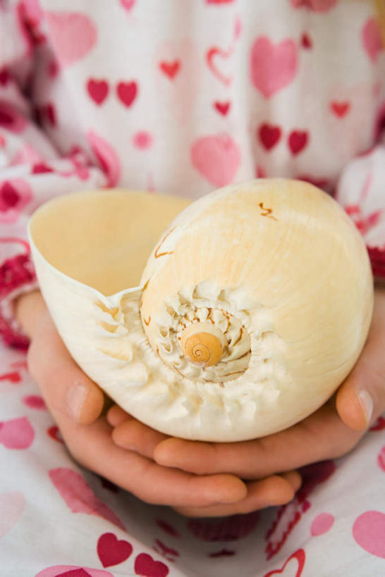 西方人,儿童,手,一个人,捧,竖图,俯视,室内,特写,白天,纯洁,贝壳,欧洲,欧洲人,双手,仅一个女性,仅一个人,服装,休闲装,小孩,衣服,仅一个小孩,休闲,手部,休闲服,可爱,童年,童趣,服饰,童真,烂漫,无邪,天真,女孩,女人,女性,白种人,孩子,贝类外壳,海螺壳,软体动物外壳,端,端着,捧着,手捧,半身,彩图,高角度拍摄,女生