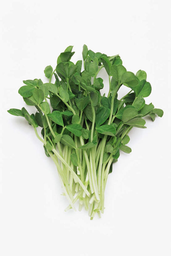 无人,竖图,俯视,室内,特写,白天,白色背景,桌面,桌子,蔬菜,叶子,新鲜,木制,食品,绿叶,豆苗,食物,木制品,嫩叶,摄影,有机食品,绿色食品,影棚,豌豆苗,豌豆藤,叶,叶片,彩图,高角度拍摄,影棚拍摄,拍摄