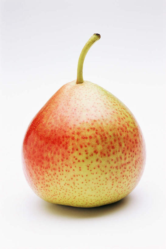 无人,竖图,室内,特写,白天,白色背景,正面,梨,水果,新鲜,生食,食品,果实,食物,一个,香梨,摄影,有机食品,绿色食品,影棚,单个,生梨,彩图,影棚拍摄,拍摄