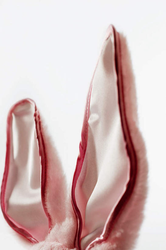 无人,竖图,室内,特写,白天,白色背景,正面,游戏,静物,玩具,阴影,反射,影子,一对,玩,娱乐,休闲,益智,摄影,影棚,活动,兔耳朵,发泄,消遣,智力,宣泄,玩耍,嬉戏,彩图,影棚拍摄,拍摄