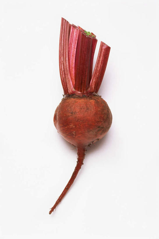 无人,竖图,俯视,室内,特写,白天,白色背景,蔬菜,阴影,新鲜,反射,影子,食品,甜菜,食物,一个,红色,摄影,有机食品,绿色食品,影棚,单个,菾菜,彩图,高角度拍摄,影棚拍摄,拍摄