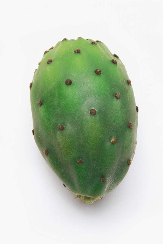 无人,竖图,俯视,室内,特写,白天,白色背景,植物,仙人球,阴影,反射,影子,草药,中药,一个,绿色,摄影,影棚,单个,药材,中草药,中药材,本草,草球,长盛球,彩图,高角度拍摄,影棚拍摄,拍摄