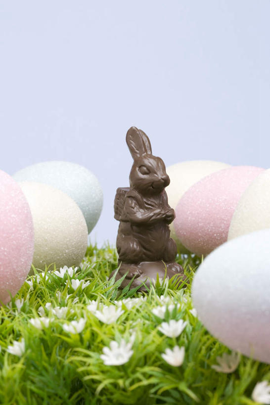 无人,竖图,室内,特写,白天,正面,草地,草坪,花海,花圃,植物,叶子,复活节,许多,粉色背景,节日,庆祝,盛开,兔子,蛋,食品,糖,糖果,甜点,甜品,很多,花蕾,文化,草,花,花瓣,花朵,花卉,鲜花,食物,排列,绿色,甜食,巧克力,花丛,花束,花田,花苞,花蕊,庆典,摄影,影棚,纪念,朱古力,彩蛋,复活节彩蛋,复活节兔子,摆列,彩图,影棚拍摄,拍摄,布列,分列