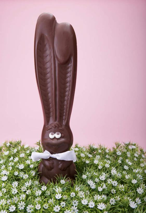 无人,竖图,室内,特写,白天,正面,草地,草坪,花海,花圃,植物,叶子,复活节,粉色背景,节日,庆祝,盛开,兔子,食品,糖,糖果,甜点,甜品,棕色,花蕾,文化,草,花,花瓣,花朵,花卉,鲜花,食物,一个,绿色,甜食,巧克力,花丛,花束,花田,花苞,花蕊,庆典,摄影,影棚,单个,纪念,朱古力,复活节兔子,彩图,影棚拍摄,拍摄