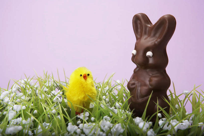 无人,横图,室内,特写,白天,正面,游戏,草地,草坪,花海,花圃,植物,鸡,玩具,叶子,复活节,紫色背景,节日,庆祝,盛开,兔子,玩偶,食品,糖,糖果,甜点,甜品,玩,花蕾,文化,娱乐,草,花,花瓣,花朵,花卉,鲜花,食物,两个,绿色,甜食,巧克力,花丛,花束,花田,花苞,花蕊,庆典,休闲,可爱,益智,摄影,毛绒玩具,影棚,纪念,朱古力,安慰,发泄,消遣,复活节兔子,宣泄,玩耍,嬉戏,彩图,影棚拍摄,拍摄
